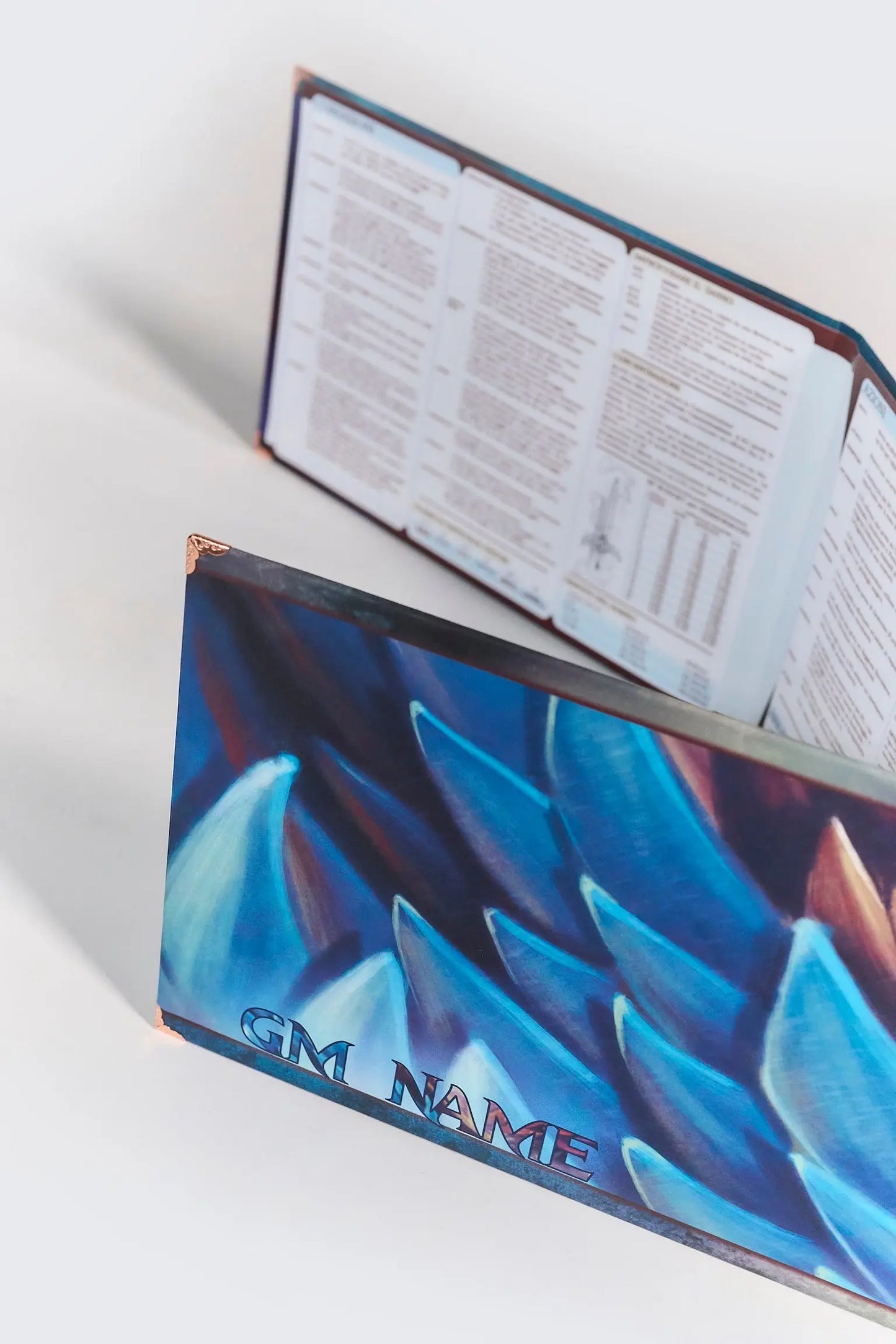 Game Master Screen - D&D 5.5e Compatibile KritiK Store